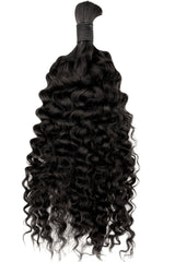 Burmese Curly (Pre-Order)