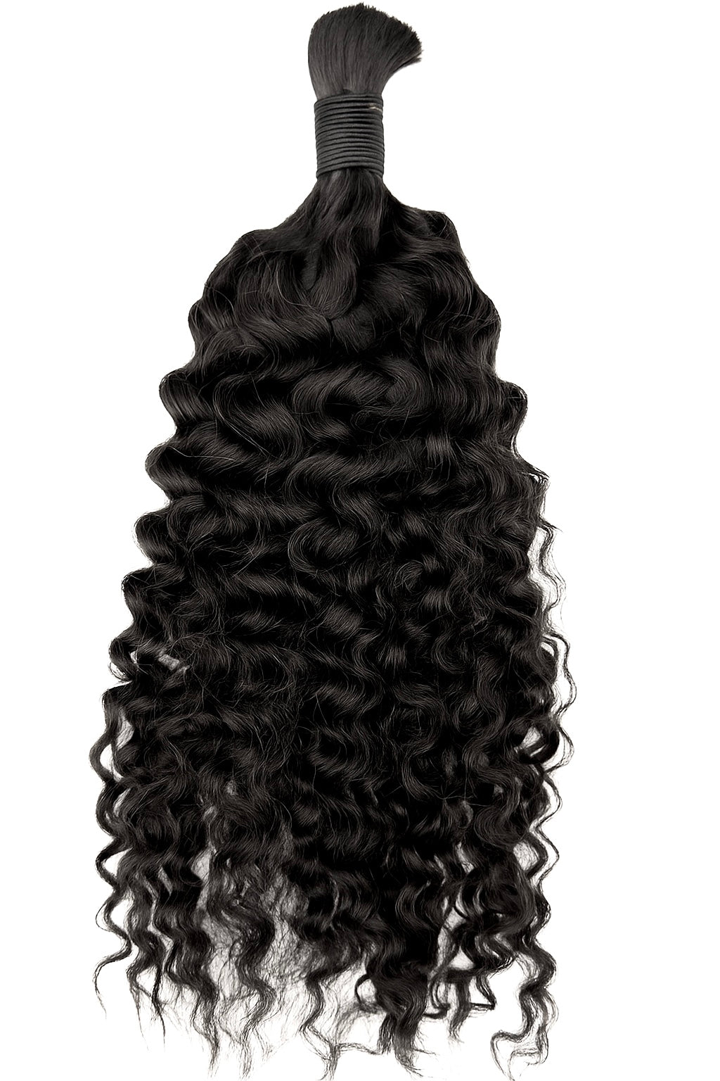 Burmese Curly (Pre-Order)